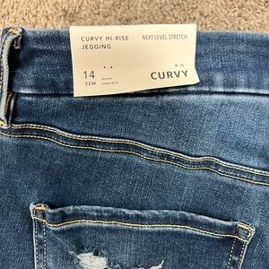 American Eagle Curvy High Rise Jeggings